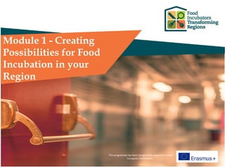 Module 1 - Creating
Possibilities for Food
Incubation in your
Region
This programme has been funded with support from the
European Commission
 