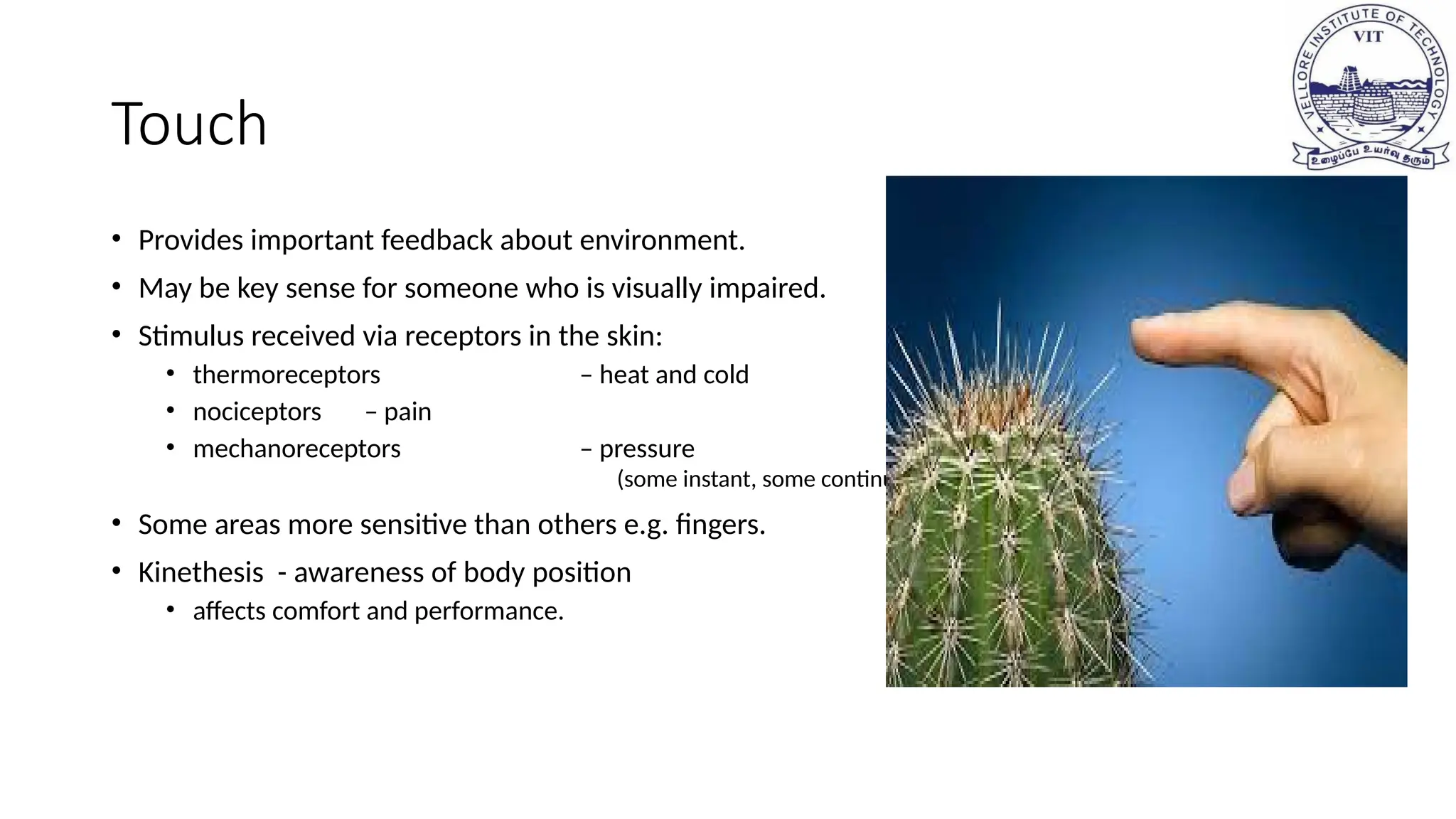 Touch
• Provides important feedback about environment.
• May be key sense for someone who is visually impaired.
• Stimulus received via receptors in the skin:
• thermoreceptors – heat and cold
• nociceptors – pain
• mechanoreceptors – pressure
(some instant, some continuous)
• Some areas more sensitive than others e.g. fingers.
• Kinethesis - awareness of body position
• affects comfort and performance.
 