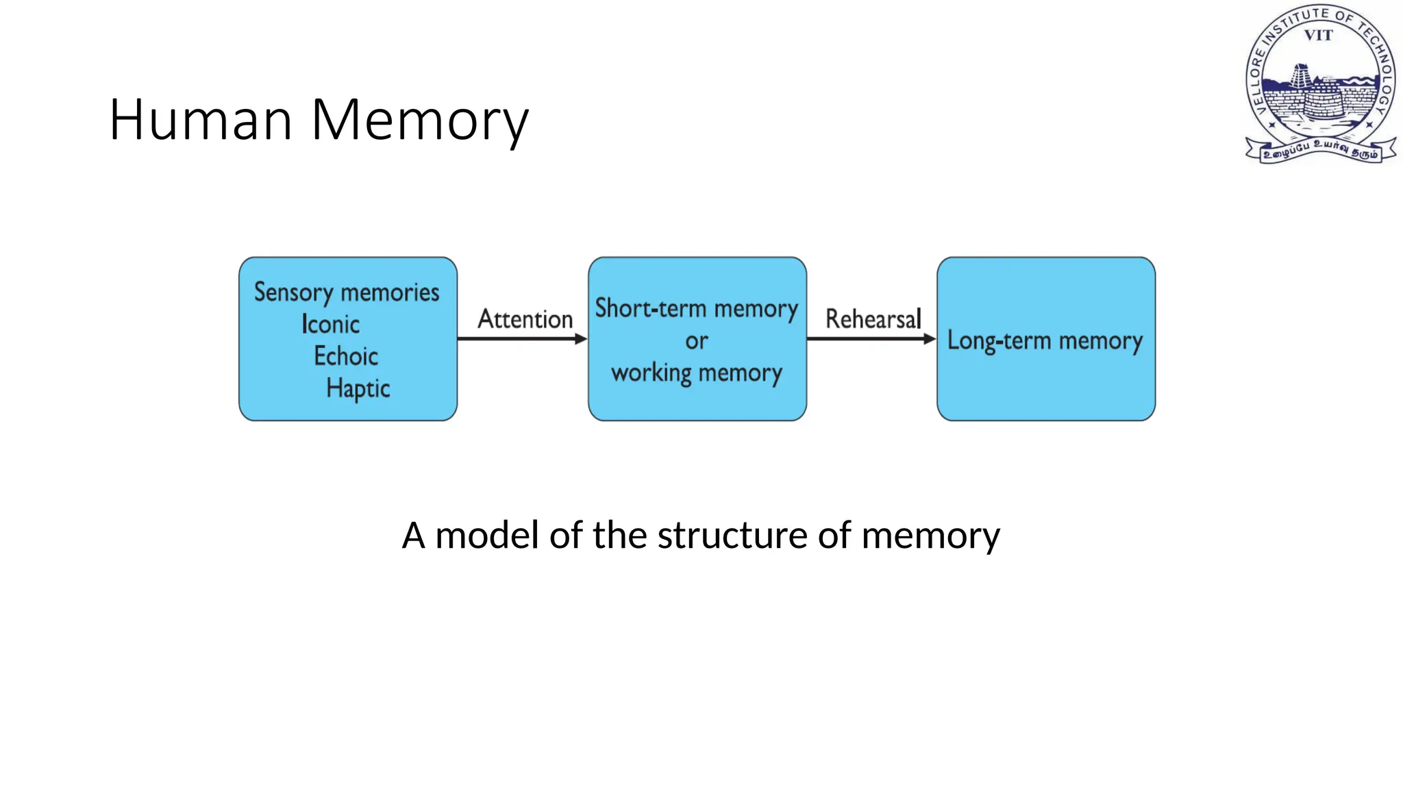 Human Memory
A model of the structure of memory
 