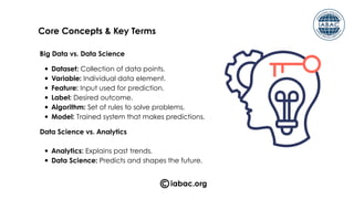 Module 1 Data Science Essentials | IABAC | PDF