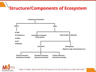 31
Structure/Components of Ecosystem
An autonomous institute
 