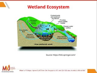 54
Wetland Ecosystem
Source: https://link.springer.com/
An autonomous institute
 