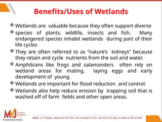 57
Benefits/Uses of Wetlands
 Wetlands are valuable because they often support diverse
 species of plants, wildlife, insects and fish. Many
endangered species inhabit wetlands during part of their
life cycles
 They are often referred to as “nature’s kidneys” because
they retain and cycle nutrients from the soil and water.
 Amphibians like frogs and salamanders often rely on
wetland areas for mating, laying eggs and early
development of young.
 Wetlands are important for flood reduction and control.
 Wetlands also help reduce erosion by trapping soil that is
washed off of farm fields and other open areas.
An autonomous institute
 