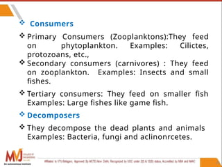 63
 Consumers
 Primary Consumers (Zooplanktons):They feed
on phytoplankton. Examples: Cilictes,
protozoans, etc.,
 Secondary consumers (carnivores) : They feed
on zooplankton. Examples: Insects and small
fishes.
 Tertiary consumers: They feed on smaller fish
Examples: Large fishes like game fish.
 Decomposers
 They decompose the dead plants and animals
Examples: Bacteria, fungi and aclinonrcetes.
An autonomous institute
 