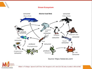 71
Ocean Ecosystem
Source: https://www.tes.com/
An autonomous institute
 