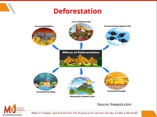 93
Deforestation
Source: freepick.com
An autonomous institute
 