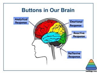 Buttons in Our Brain Analytical Response Emotional Response   Reactive Response Reflexive Response 