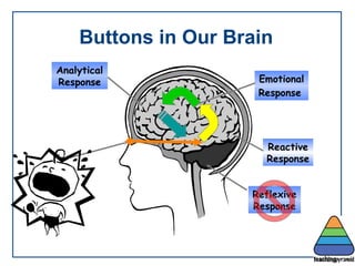 Buttons in Our Brain Analytical Response Emotional Response   Reactive Response Reflexive Response 