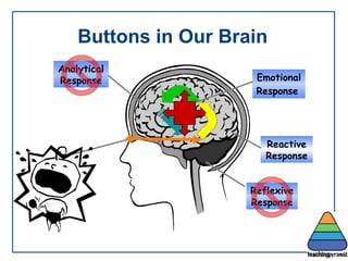 Buttons in Our Brain Analytical Response Emotional Response   Reactive Response Reflexive Response 