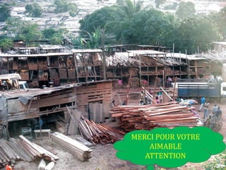 Module 1 gouvernance flegt