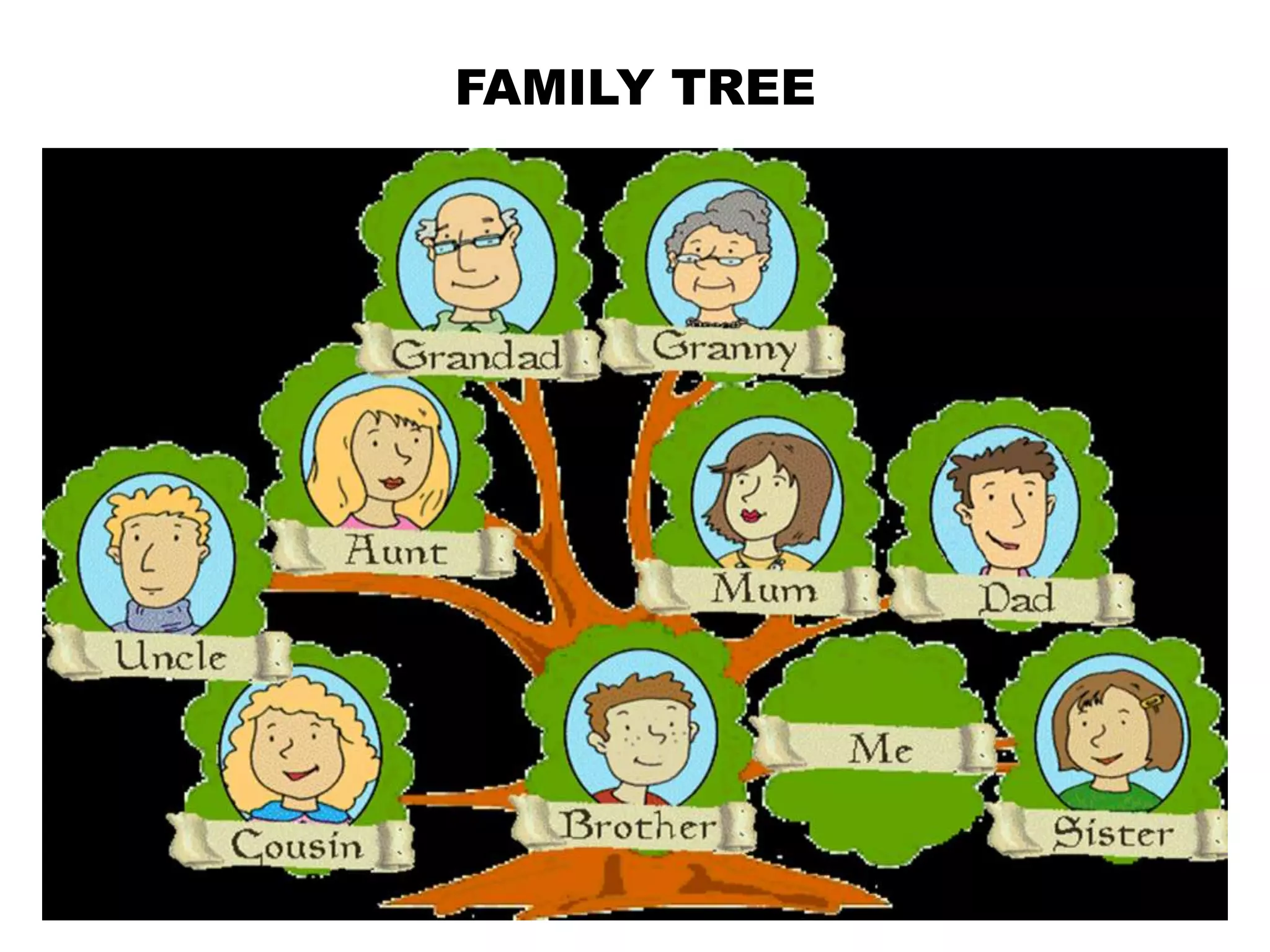FAMILY TREE

 