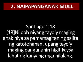 Santiago 1:18
[18]Niloob niyang tayo'y maging
anak niya sa pamamagitan ng salita
ng katotohanan, upang tayo'y
maging pangunahin higit kaysa
lahat ng kanyang mga nilalang.
2. NAIPAPANGANAK MULI.
 