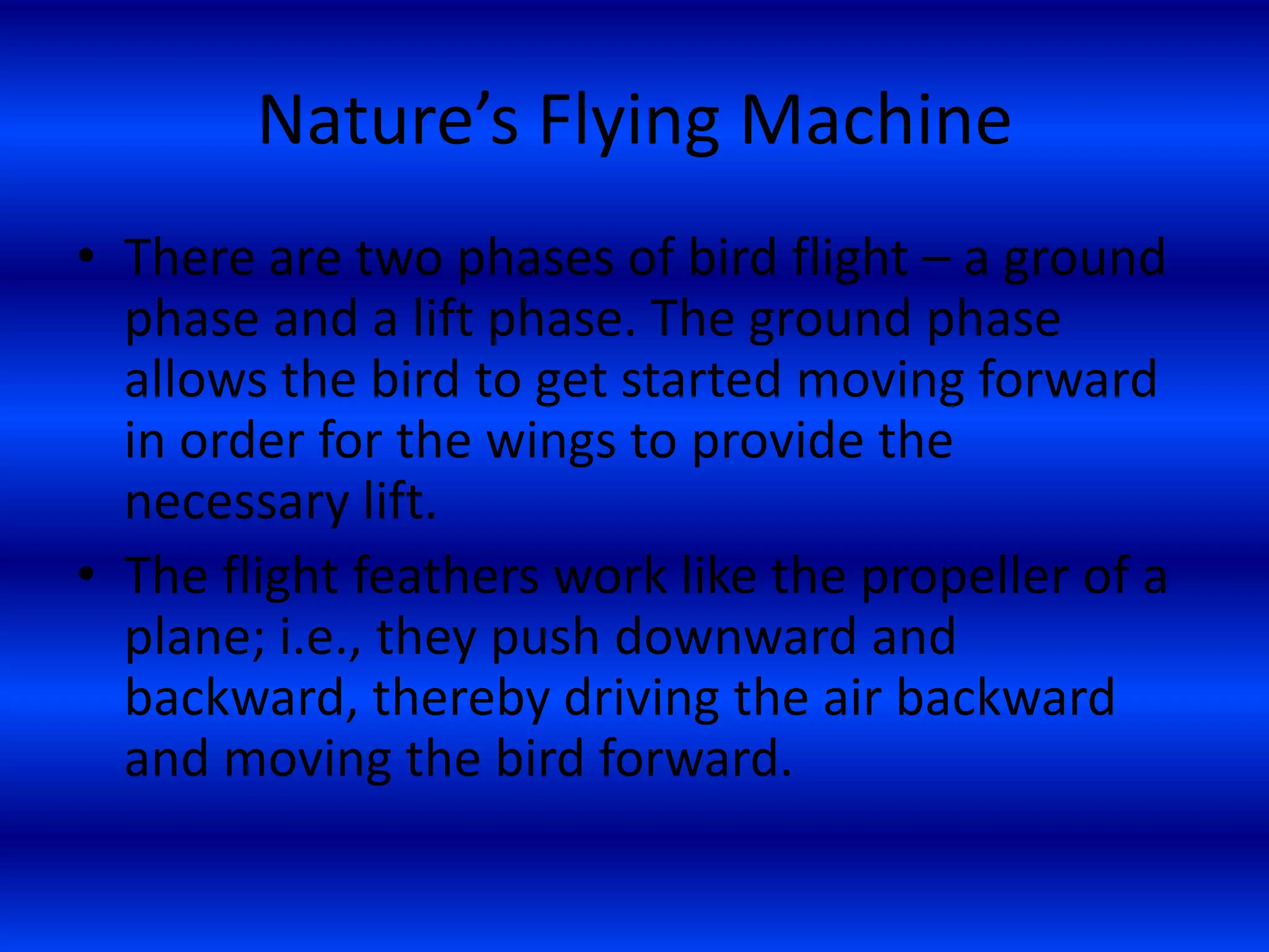 Module 1 Introduction To Flight