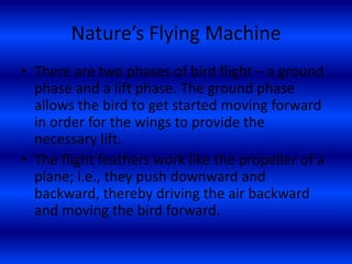 Module 1 Introduction To Flight