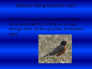 Module 1 Introduction To Flight