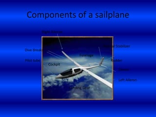 Module 1 Introduction To Flight