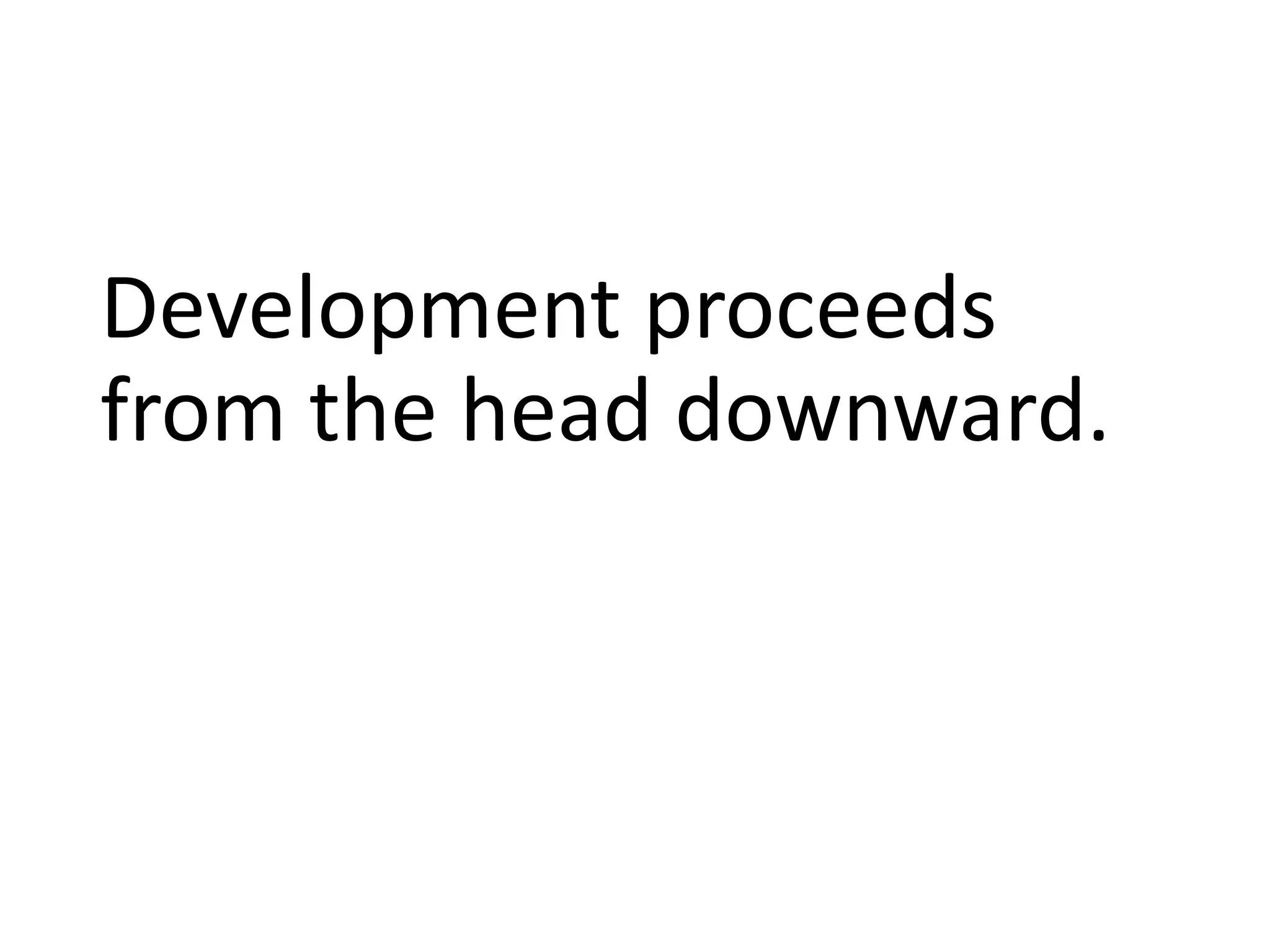 Development proceeds
from the head downward.
 