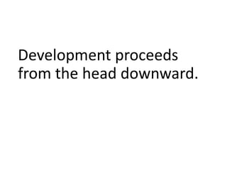 Development proceeds
from the head downward.
 