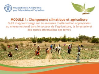 MODULE 1: Changement climatique et agriculture
Outil d’apprentissage sur les mesures d’atténuation appropriées
au niveau national dans le secteur de l’agriculture, la foresterie et
des autres affectations des terres
 