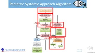 Pediatric Advanced Life Support Overview.pptx