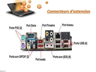 Connecteurs d'extension
 