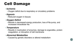  Ischemia
 Oxygen deficit due to respiratory or circulatory problems
 Hypoxia
 Reduced oxygen in tissues
 Oxygen Deficit
 Results in decreased energy production, loss of Na pump, and
increased intracellular Na
 Temperature
 Results in inactivation of enzymes, damage to organelles, protein
coagulation, or disruption of cell membrane
 Abnormal Metabolites
 Caused by genetic disorders or altered metabolism
 