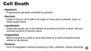  Apoptosis
 Programmed cell death controlled by genetics
 Necrosis
 Death of most or all of cells in an organ or tissue due to disease, injury, or
blood supply failure
 Liquefaction
 Dead cells liquefy due to the release of enzymes and form a lesion with pus
and fluid remains of necrotic tissue
 Coagulation
 Blood changing to a solid or semi-solid state as a result of proteins being
altered or de-natured
 Caseous
 Form of coagulation necrosis producing a thick, yellowish, cheesy discharge
 