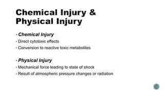 Chemical Injury
 Direct cytotoxic effects
 Conversion to reactive toxic metabolites
Physical Injury
 Mechanical force leading to state of shock
 Result of atmospheric pressure changes or radiation
 