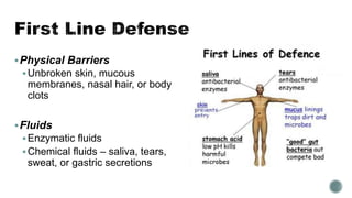 Physical Barriers
Unbroken skin, mucous
membranes, nasal hair, or body
clots
Fluids
Enzymatic fluids
Chemical fluids – saliva, tears,
sweat, or gastric secretions
 