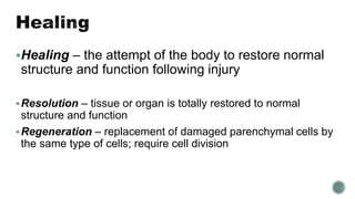 Healing – the attempt of the body to restore normal
structure and function following injury
Resolution – tissue or organ is totally restored to normal
structure and function
Regeneration – replacement of damaged parenchymal cells by
the same type of cells; require cell division
 