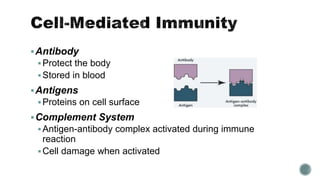 Antibody
Protect the body
Stored in blood
Antigens
Proteins on cell surface
Complement System
Antigen-antibody complex activated during immune
reaction
Cell damage when activated
 