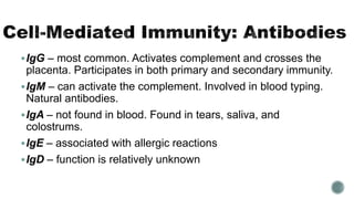 IgG – most common. Activates complement and crosses the
placenta. Participates in both primary and secondary immunity.
IgM – can activate the complement. Involved in blood typing.
Natural antibodies.
IgA – not found in blood. Found in tears, saliva, and
colostrums.
IgE – associated with allergic reactions
IgD – function is relatively unknown
 