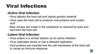Active Viral Infection
Virus attacks the host cell and injects genetic material
Virus uses the host cell to produce viral proteins and nucleic
acid
New viruses are made in the cytoplasm or reduced by lysis and
bud from the host cell
Latent Viral Infection
Virus enters in a similar fashion as an active infection
Virus replicates slowly or has a delayed replication
Viral proteins are inserted into the cell membrane of the host cell
to cause an immune response
 