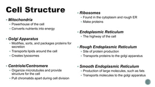  Mitochondria
 Powerhouse of the cell
 Converts nutrients into energy
 Golgi Apparatus
 Modifies, sorts, and packages proteins for
secretion
 Transports lipids around the cell
 Creates lysosomes
 Centriole/Centromere
 Organize microtubules and provide
structure for the cell
 Pull chromatids apart during cell division
 Ribosomes
 Found in the cytoplasm and rough ER
 Make proteins
 Endoplasmic Reticulum
 The highway of the cell
 Rough Endoplasmic Reticulum
 Site of protein production
 Transports proteins to the golgi apparatus
 Smooth Endoplasmic Reticulum
 Production of large molecules, such as fats
 Transports molecules to the golgi apparatus
 