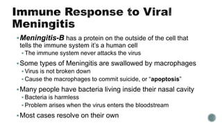 Meningitis-B has a protein on the outside of the cell that
tells the immune system it’s a human cell
 The immune system never attacks the virus
Some types of Meningitis are swallowed by macrophages
 Virus is not broken down
 Cause the macrophages to commit suicide, or “apoptosis”
Many people have bacteria living inside their nasal cavity
 Bacteria is harmless
 Problem arises when the virus enters the bloodstream
Most cases resolve on their own
 