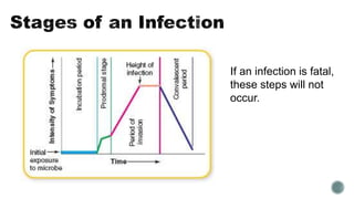 If an infection is fatal,
these steps will not
occur.
 