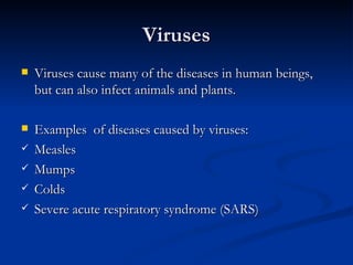 Viruses Viruses cause many of the diseases in human beings, but can also infect animals and plants. Examples  of diseases caused by viruses: Measles Mumps Colds Severe acute respiratory syndrome (SARS) 