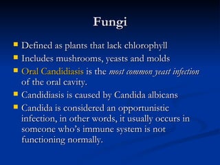 Fungi Defined as plants that lack chlorophyll Includes mushrooms, yeasts and molds Oral Candidiasis  is the  most common yeast infection  of the oral cavity. Candidiasis is caused by Candida albicans Candida is considered an opportunistic infection, in other words, it usually occurs in someone who’s immune system is not functioning normally. 