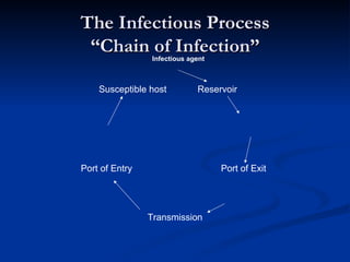 The Infectious Process “Chain of Infection” Infectious agent Port of Exit Transmission Port of Entry Susceptible host Reservoir 