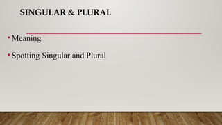 SINGULAR & PLURAL
•Meaning
•Spotting Singular and Plural
 