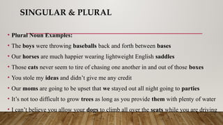 SINGULAR & PLURAL
• Plural Noun Examples:
• The boys were throwing baseballs back and forth between bases
• Our horses are much happier wearing lightweight English saddles
• Those cats never seem to tire of chasing one another in and out of those boxes
• You stole my ideas and didn’t give me any credit
• Our moms are going to be upset that we stayed out all night going to parties
• It’s not too difficult to grow trees as long as you provide them with plenty of water
• I can’t believe you allow your dogs to climb all over the seats while you are driving
 