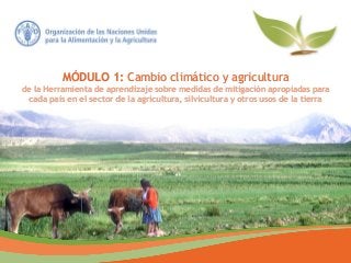 MÓDULO 1: Cambio climático y agricultura
de la Herramienta de aprendizaje sobre medidas de mitigación apropiadas para
cada país en el sector de la agricultura, silvicultura y otros usos de la tierra
 