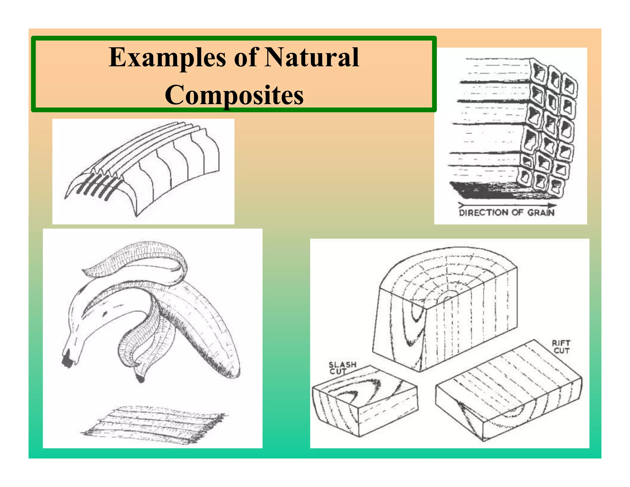 44
Examples of Natural
Composites
 