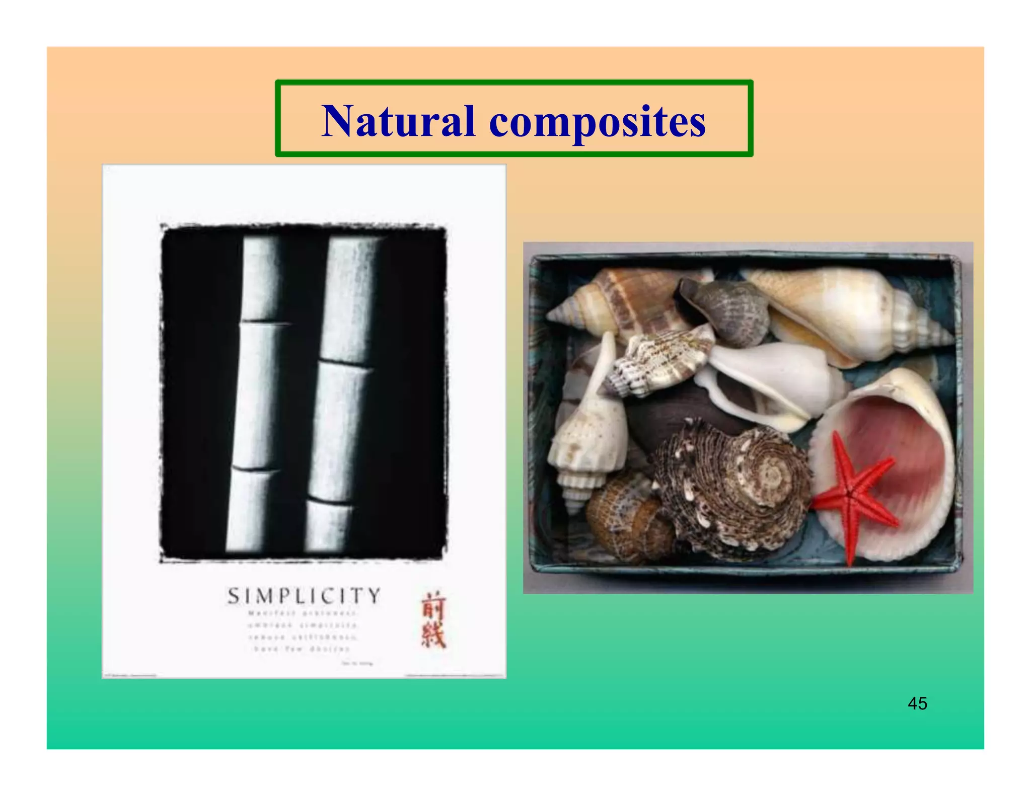 45
Natural composites
 