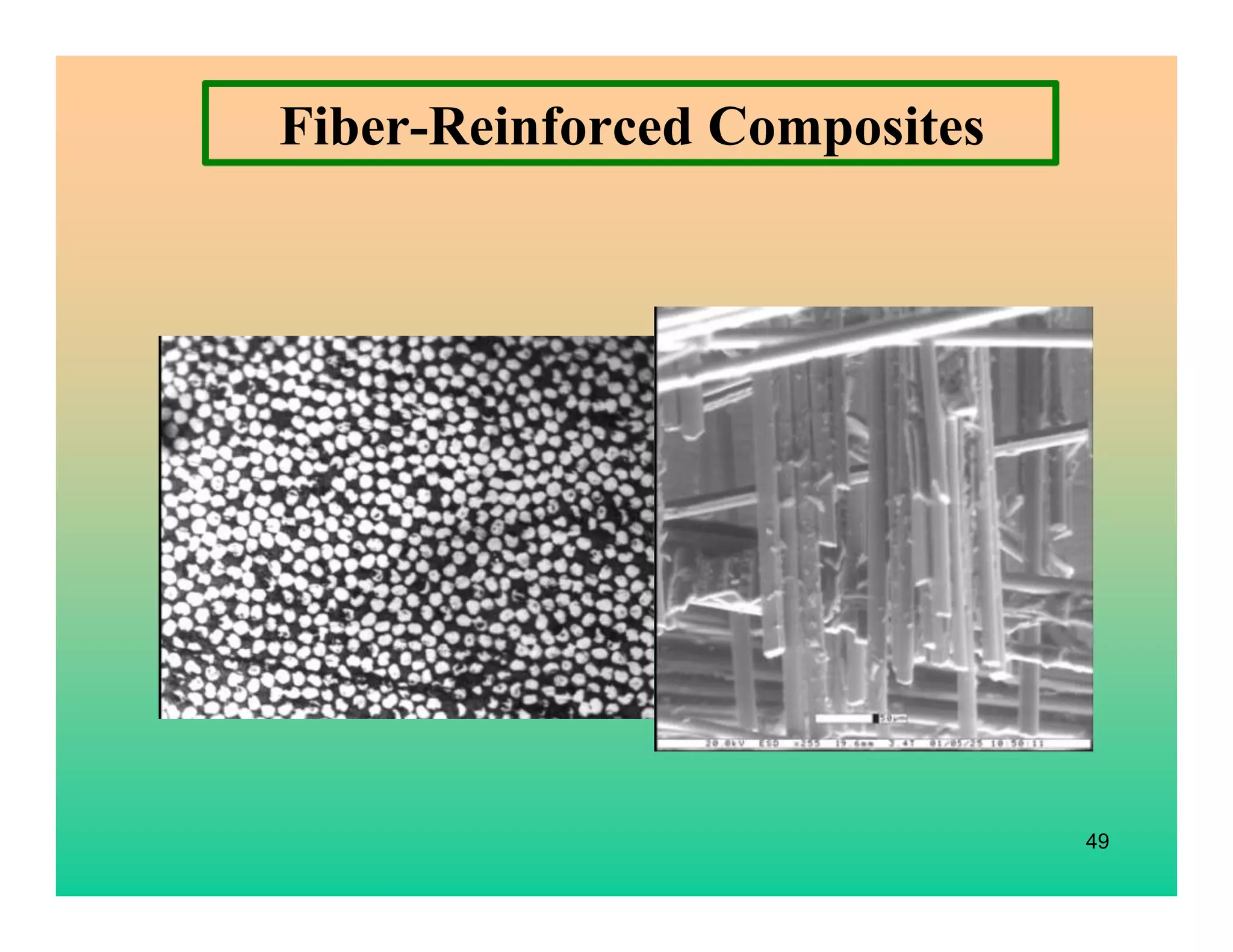 49
Fiber-Reinforced Composites
 