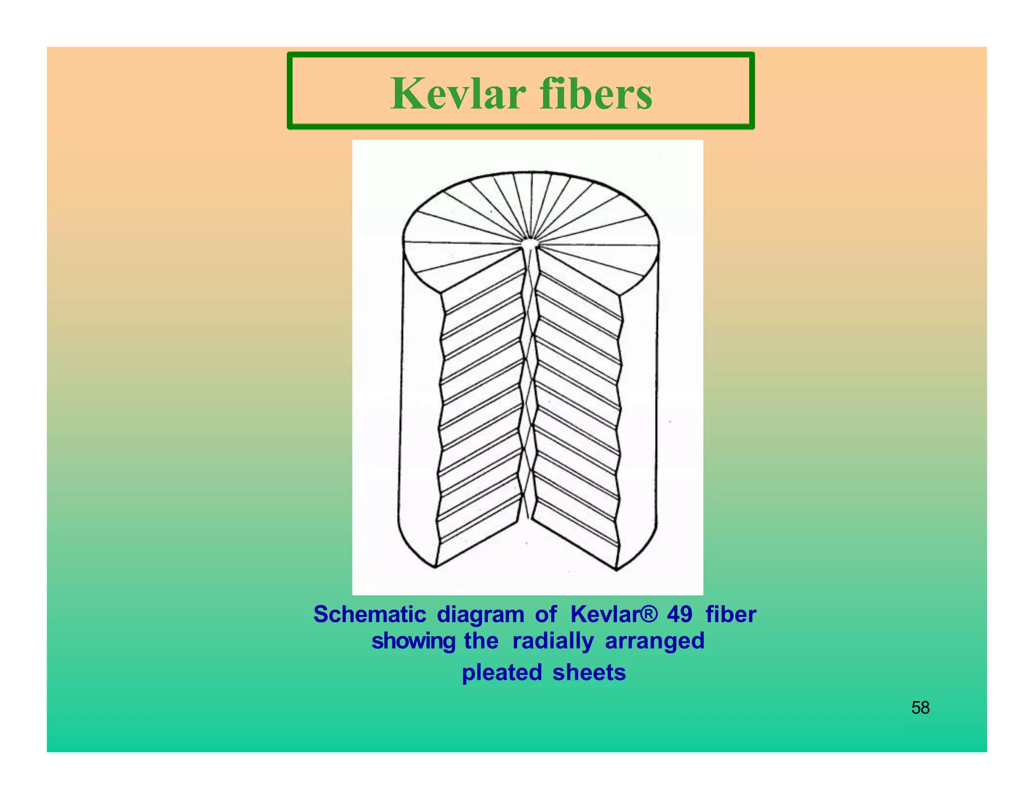 Schematic diagram of Kevlar® 49 fiber
58
showing the radially arranged
pleated sheets
Kevlar fibers
 