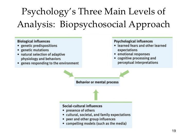 andrea yates psychology andrea yates psychology