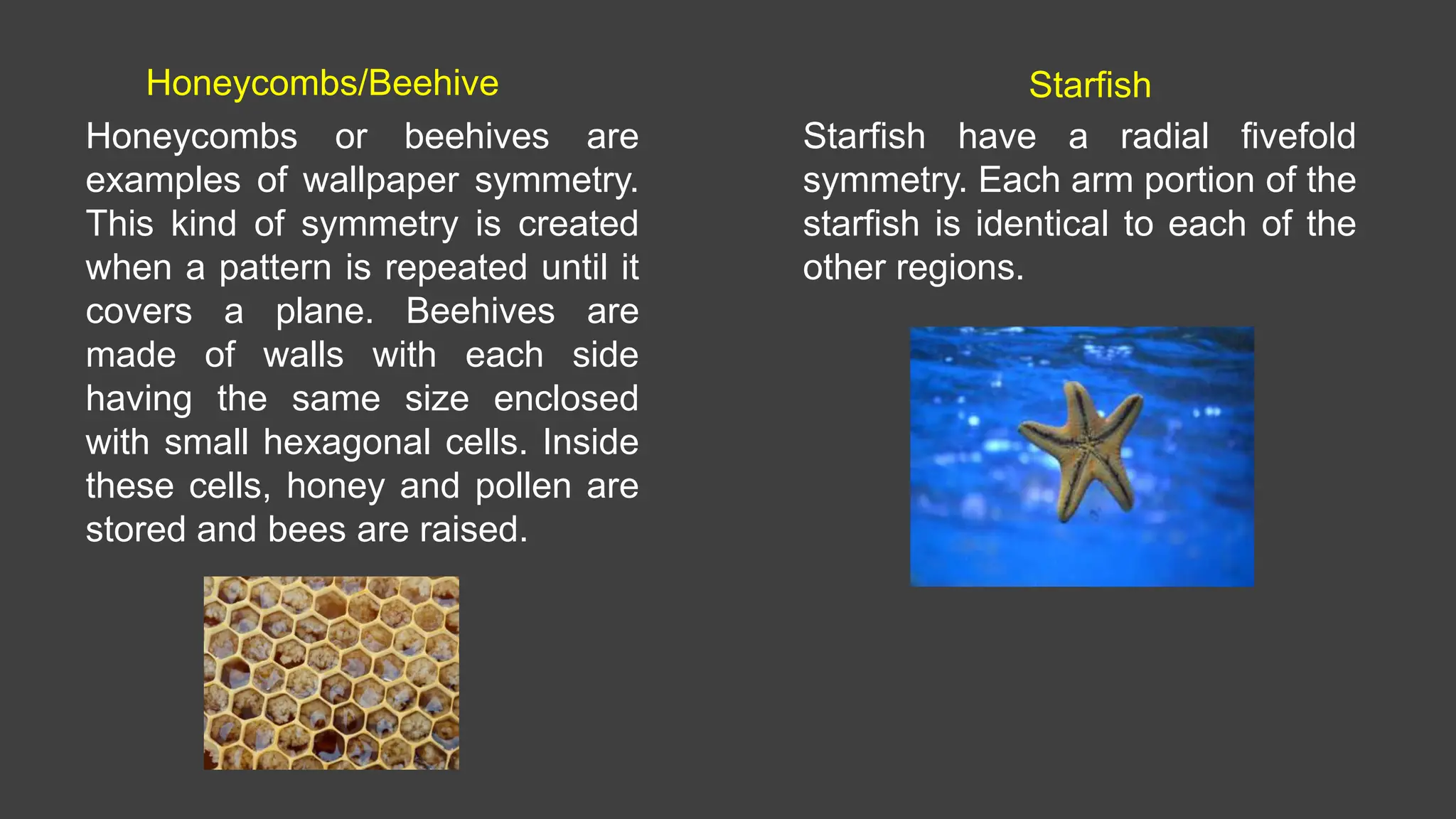 Honeycombs or beehives are
examples of wallpaper symmetry.
This kind of symmetry is created
when a pattern is repeated until it
covers a plane. Beehives are
made of walls with each side
having the same size enclosed
with small hexagonal cells. Inside
these cells, honey and pollen are
stored and bees are raised.
Honeycombs/Beehive Starfish
Starfish have a radial fivefold
symmetry. Each arm portion of the
starfish is identical to each of the
other regions.
 