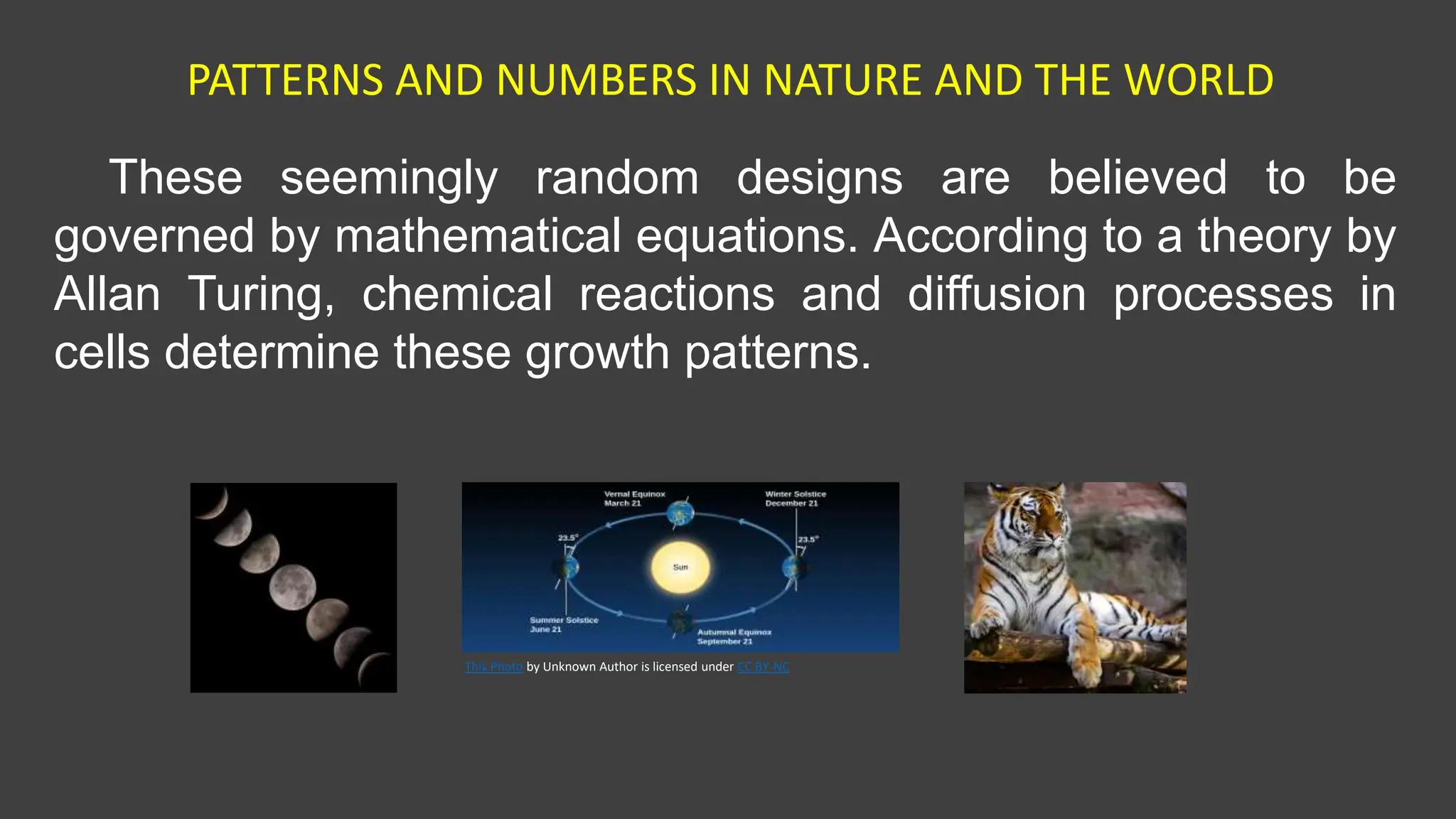 PATTERNS AND NUMBERS IN NATURE AND THE WORLD
These seemingly random designs are believed to be
governed by mathematical equations. According to a theory by
Allan Turing, chemical reactions and diffusion processes in
cells determine these growth patterns.
This Photo by Unknown Author is licensed under CC BY-NC
 