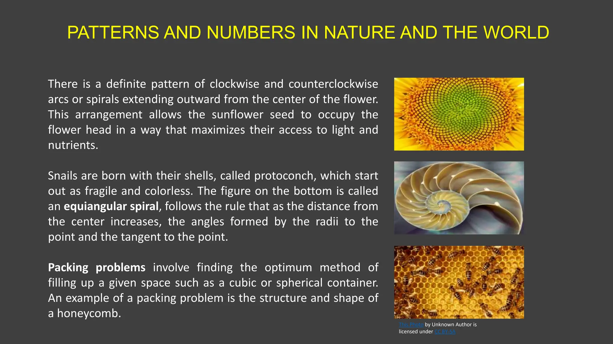 PATTERNS AND NUMBERS IN NATURE AND THE WORLD
This Photo by Unknown Author is
licensed under CC BY-SA
There is a definite pattern of clockwise and counterclockwise
arcs or spirals extending outward from the center of the flower.
This arrangement allows the sunflower seed to occupy the
flower head in a way that maximizes their access to light and
nutrients.
Snails are born with their shells, called protoconch, which start
out as fragile and colorless. The figure on the bottom is called
an equiangular spiral, follows the rule that as the distance from
the center increases, the angles formed by the radii to the
point and the tangent to the point.
Packing problems involve finding the optimum method of
filling up a given space such as a cubic or spherical container.
An example of a packing problem is the structure and shape of
a honeycomb.
 